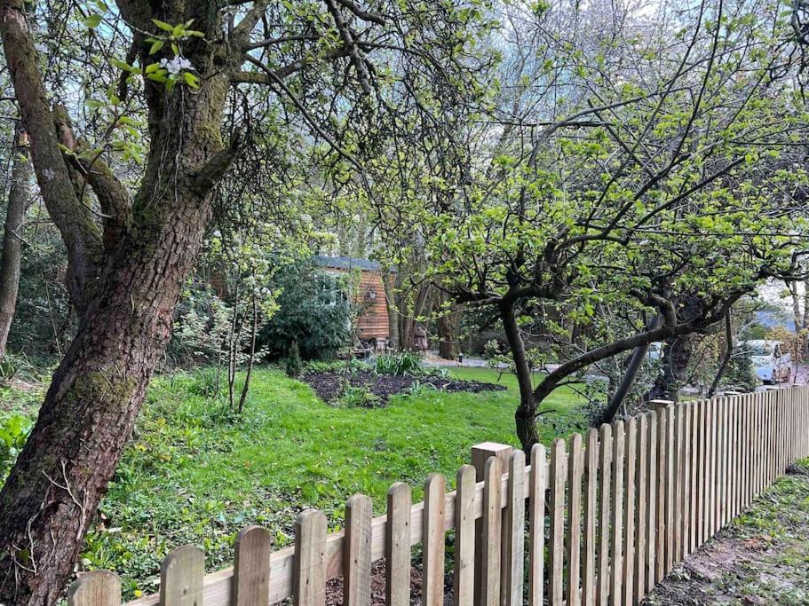 Tranquil Spot Shepherds Hut Cinderford Buitenkant foto